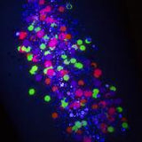 Amerikan body art Glitter creme - Orion