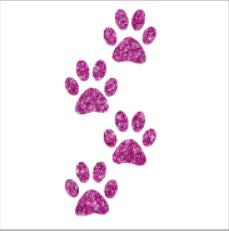 Glitter tattoo stencils - Paw prints - 5pcs